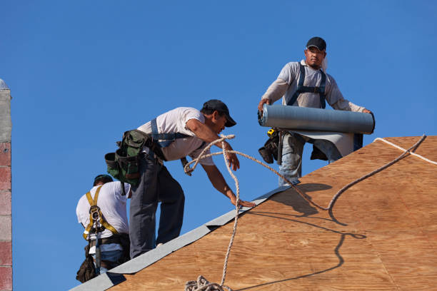 Best Roof Repair Specialists  in West Point, KY